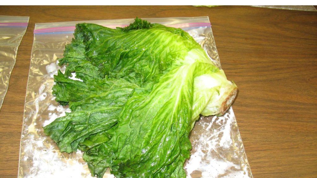 What To Do With Frozen Lettuce? [6 Ways To Spice It Up]