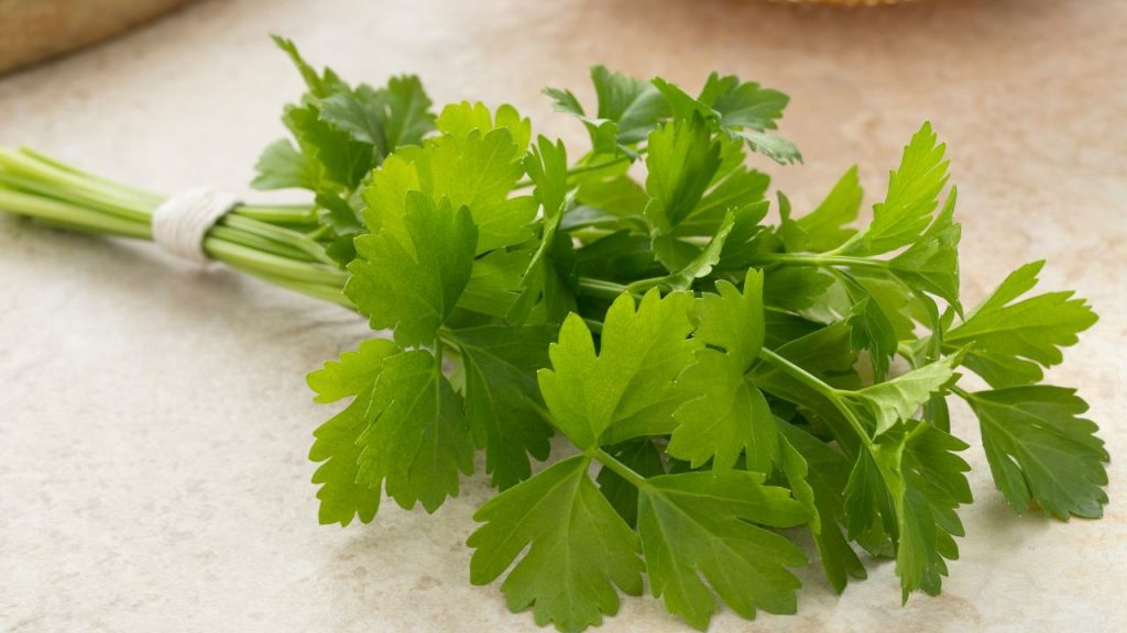 6 Lovage Substitutes [FLAVORFUL Cooking]